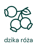 Kawa z nutami dzikiej róży